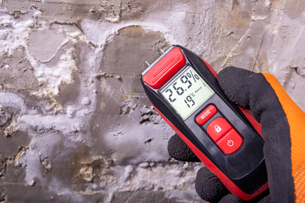 Best Mold Removal Company Near Me  in Silverthorne, CO